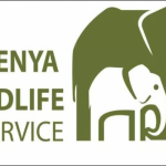 KENYA WILDLIFE SERVICE TENDER 2020 