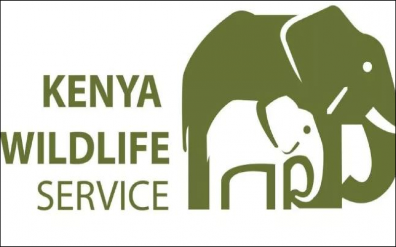 INVITATION TO TENDER - Kenya Wildlife Service - Tenders in Kenya from